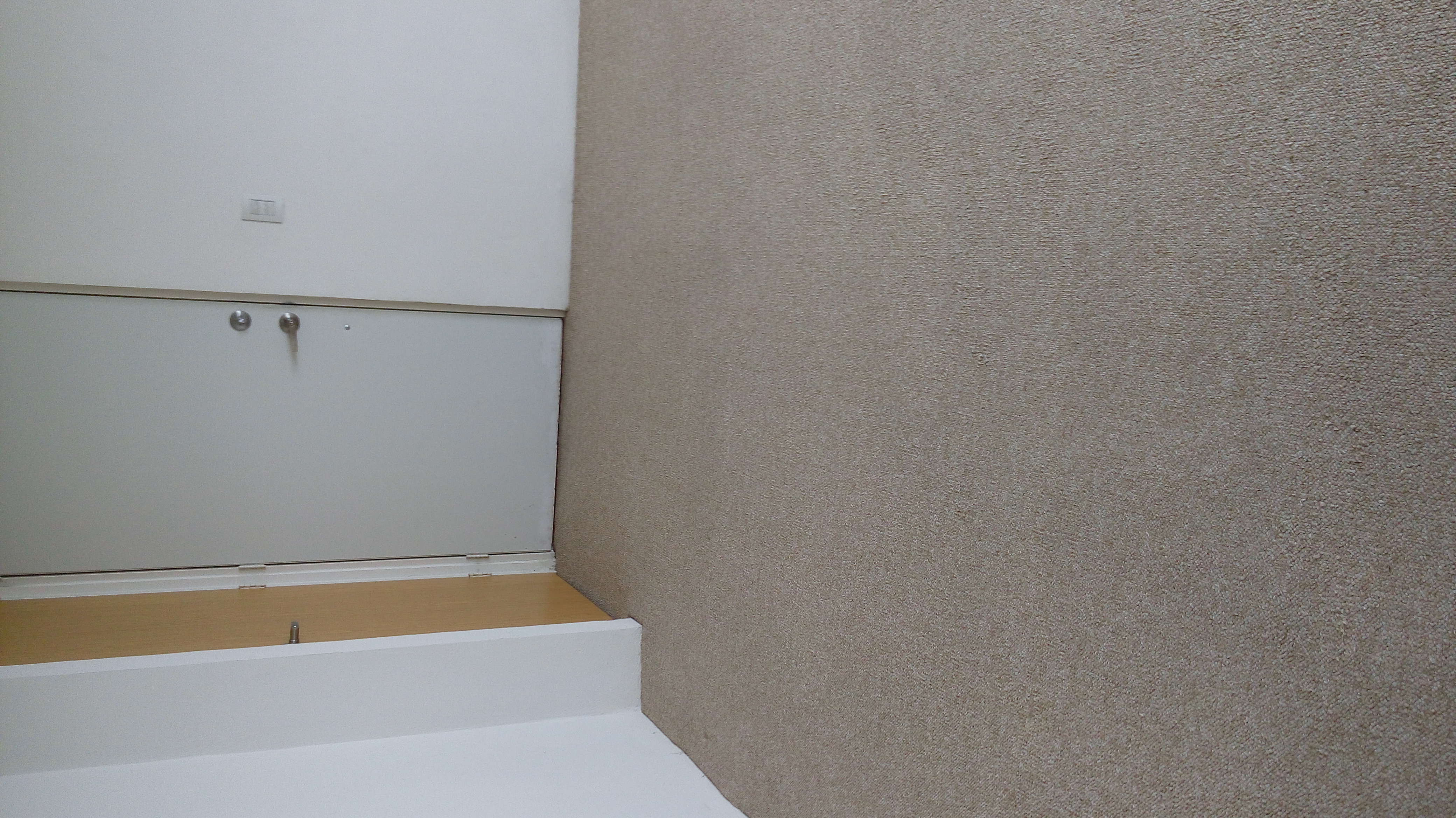 foto alfombra limpia